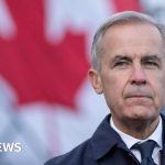 Canadian PM warns 'stakes are high' as ​​Alberta separation vote approaches - BBC News Africa