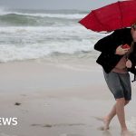Hurricane Isaias downgraded after making landfall in Florida - BBC News Africa