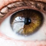 Statins may protect people from glaucoma or blindness by preventing or slowing the death of nerve cells