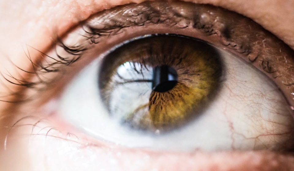 Statins may protect people from glaucoma or blindness by preventing or slowing the death of nerve cells