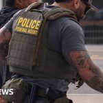 ICE agent accused of hitting Mexican national with car