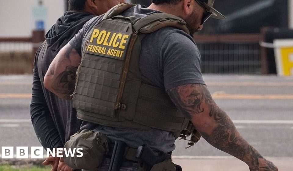 ICE agent accused of hitting Mexican national with car