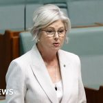 Australian MP Helen Haines' health improves after alleged car attack