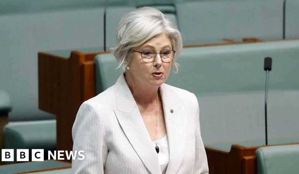 Australian MP Helen Haines' health improves after alleged car attack