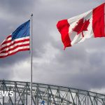 US lifts tariffs on some Canadian goods ahead of midterm elections - BBC