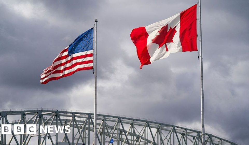 US lifts tariffs on some Canadian goods ahead of midterm elections - BBC