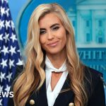 White House defends new press secretary despite questions over legal credentials - BBC News Africa