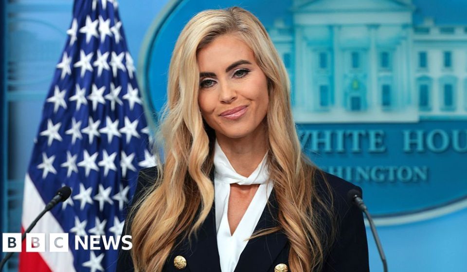 White House defends new press secretary despite questions over legal credentials - BBC News Africa