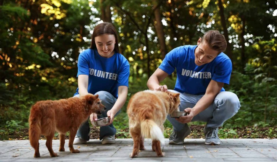 If your dog doesn’t like someone, he’s detecting something you can’t If your dog doesn't like someone, he's detecting something you can't