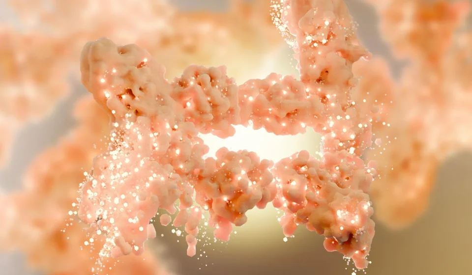 Scientists discover hidden switch that burns fat and blocks new fat cells Scientists discover hidden switch that burns fat and blocks new fat cells