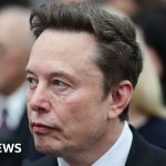 Three takeaways from Elon Musk's latest political donations - BBC News Africa