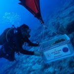 World's oldest wreck discovered off the coast of Turkey