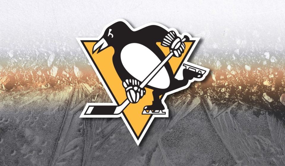 Kindel conscious and stable after medical episode on Penguins plane