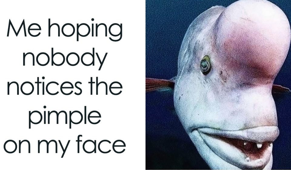 76 Memes About Women's Daily Lives That Are Almost Too Accurate to Be Funny