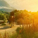 Witcher 3 Remastered patch addressing 'various lighting adjustments' deployed