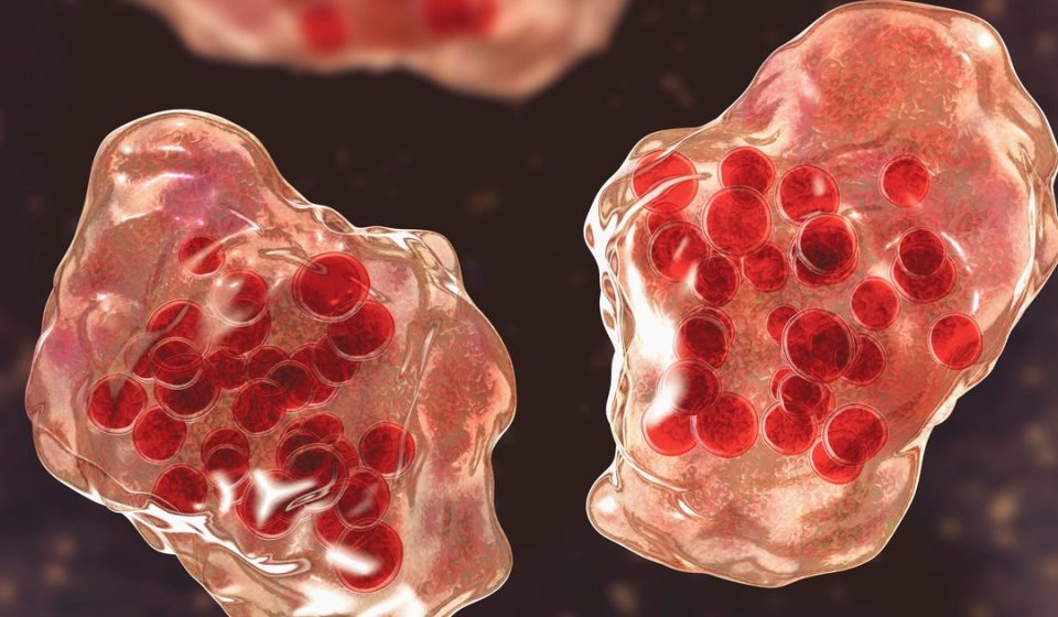 Central Minnesota county reports 'several suspected cases of measles'