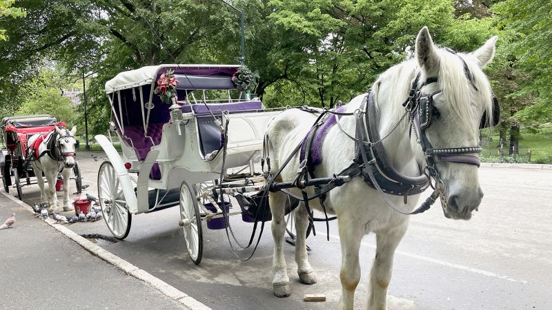 New York horse-drawn carriage ban: Mamdani and council reach agreement to end rides New York horse-drawn carriage ban: Mamdani and council reach agreement to end rides