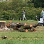 Judge blocks Trump administration from cutting down trees on DC golf course for 2 weeks