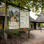 Zoo keeper dies after being attacked in leopard enclosure, Dutch safari park says
