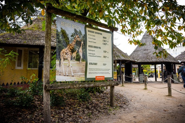 Zoo keeper dies after being attacked in leopard enclosure, Dutch safari park says Zoo keeper dies after being attacked in leopard enclosure, Dutch safari park says
