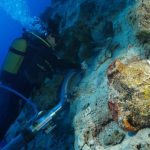 World's oldest wreck discovered off the coast of Turkey