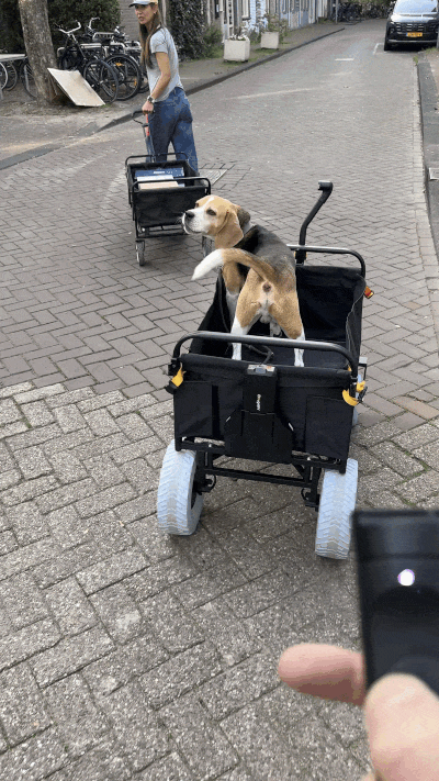 This remote-controlled wagon is silly but so useful
