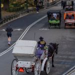 New York City Council votes to ban horse-drawn carriages in Central Park by 2028