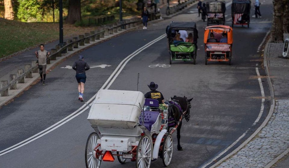 New York City Council votes to ban horse-drawn carriages in Central Park by 2028