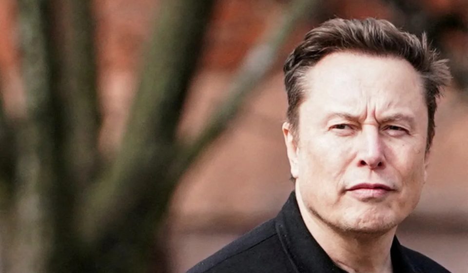 Elon Musk warns about neoclouds: they will face “guppy-level” death