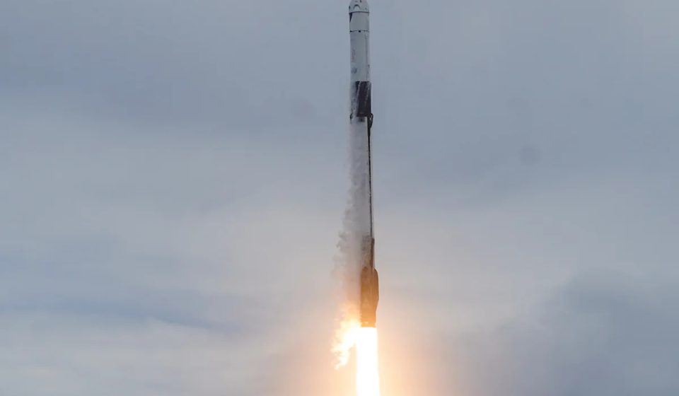 Elon Musk says he's going to give SpaceX stock to kids