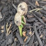 I Was Blown Away After Seeing These 25 Incredible Images For The First Time