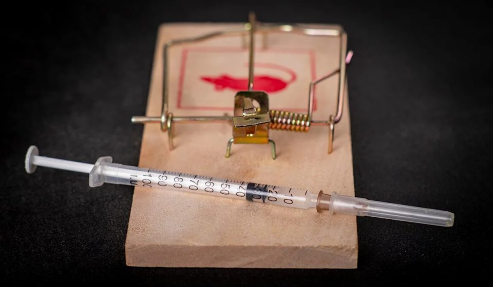 Novo Nordisk and Eli Lilly just received some fantastic news