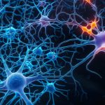 A human brain gene has turned into a virus and scientists have no idea what it's doing there