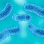 Hundreds of people in Ohio are sick with sexually transmitted diarrhea