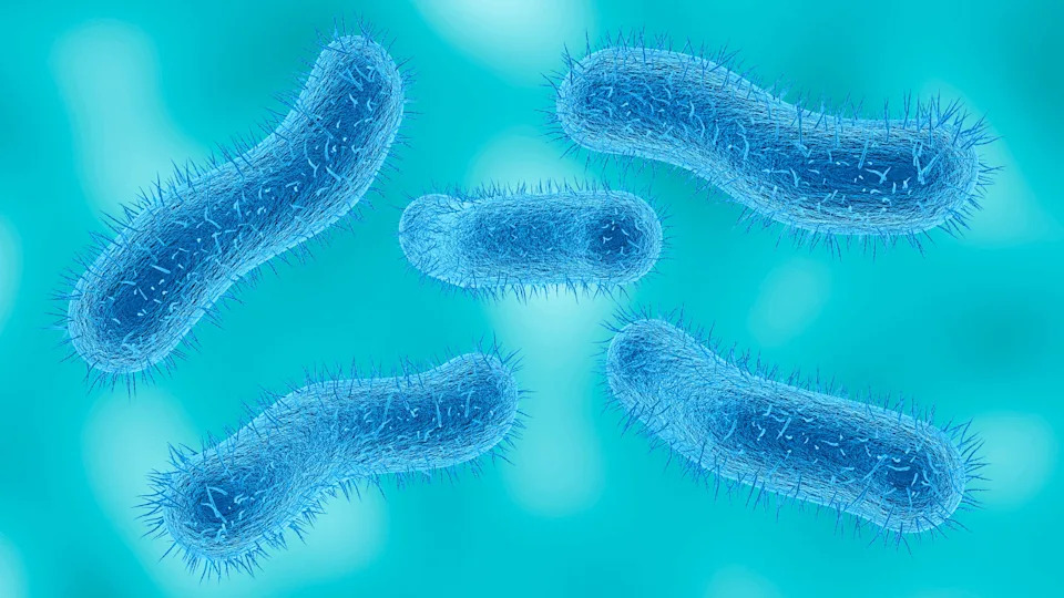 Hundreds of people in Ohio are sick with sexually transmitted diarrhea Hundreds of people in Ohio are sick with sexually transmitted diarrhea