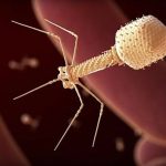 California startup claims to have injected AI-designed virus into humans for the first time
