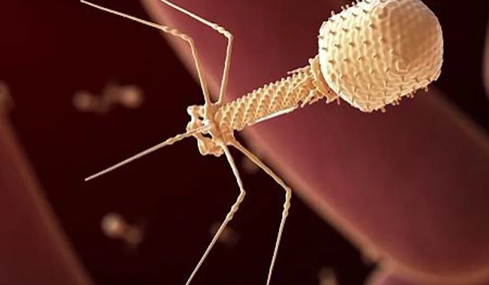 California startup claims to have injected AI-designed virus into humans for the first time
