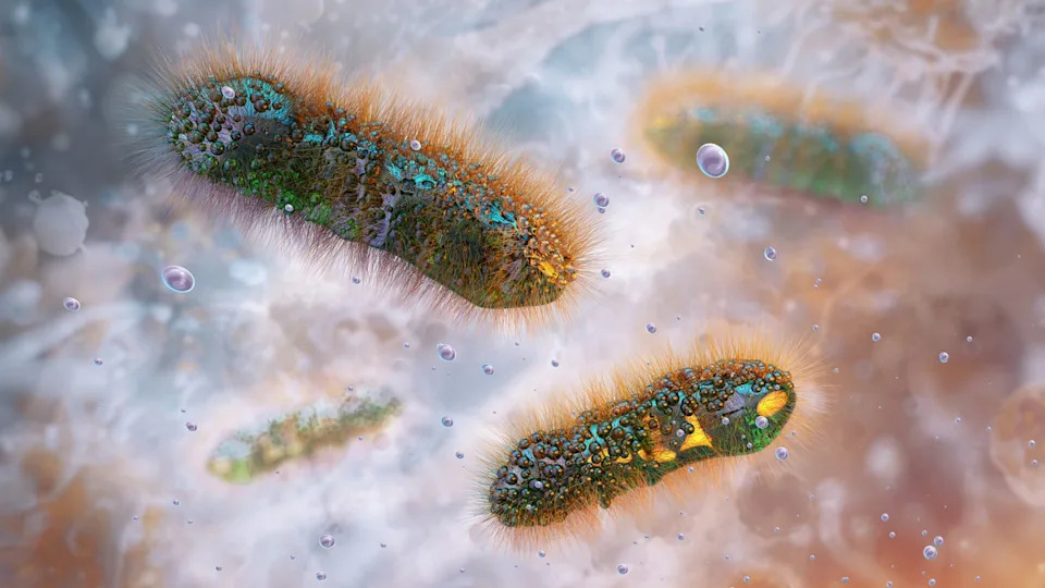 Sexually transmitted stomach bug spreads Sexually transmitted stomach bug spreads