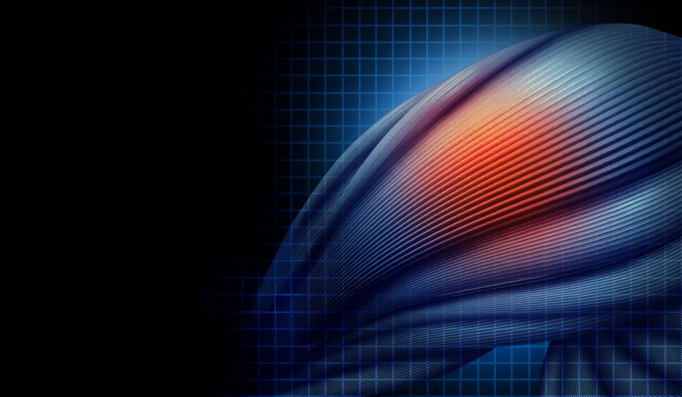 Scientists finally discover why statins can cause muscle pain