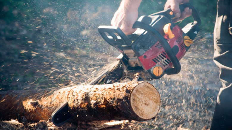 Sharpen your chainsaw blade quickly and efficiently with a portable Amazon search