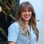 Kelly Clarkson's $15,000 bird dispute puts her image at risk, experts say
