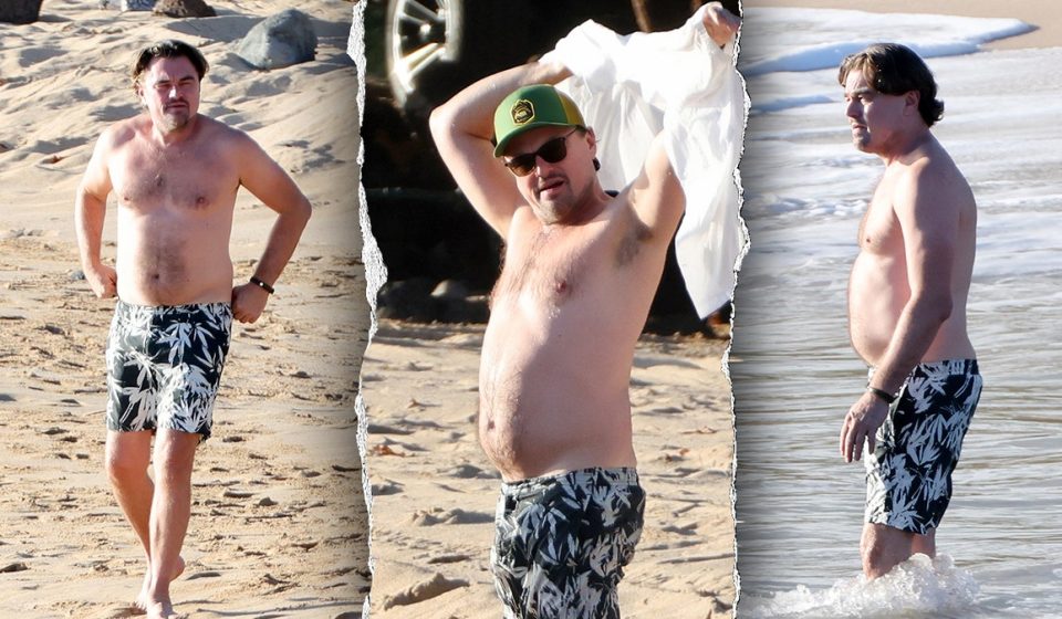 Leonardo DiCaprio's 'Dad Body' Photos Spark Debate About Visceral Fat Health