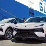 Problem: Buyers prefer to wait for Chinese electric vehicles rather than buy Western vehicles