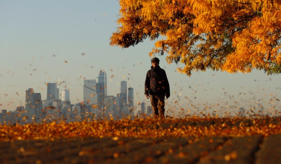 How to tell the difference between allergies and the common cold