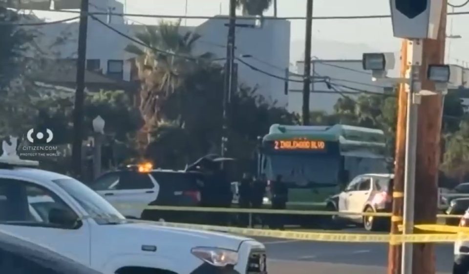 Bus driver shot and killed by passenger in Mar Vista, police say – NBC Los Angeles