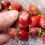 Food Mold on Bread and Berries and What Experts Say You Should Do