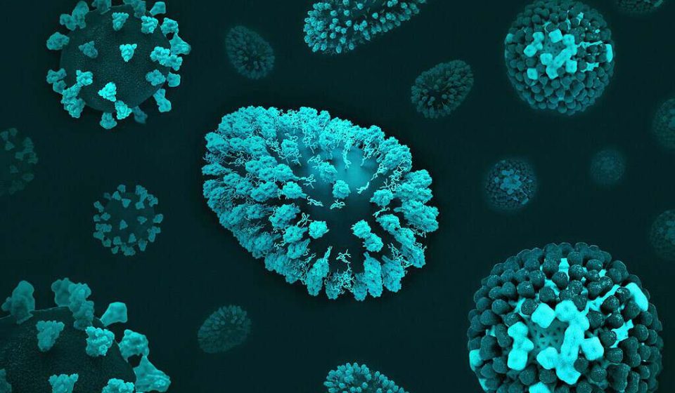 Nearly one in eight cancers worldwide is caused by infections. Much could be avoided