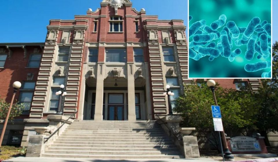 Deadly bacteria discovered in Los Angeles office as employee tests for illness