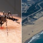 Los Angeles is the most mosquito-infested city in America