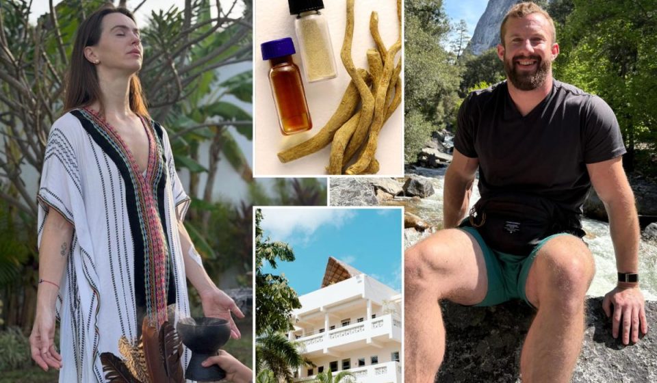 Inside the $20,000 psychedelic trips luring Americans to Mexico Inside the $20,000 psychedelic trips luring Americans to Mexico